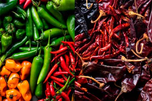Chiles mexicanos