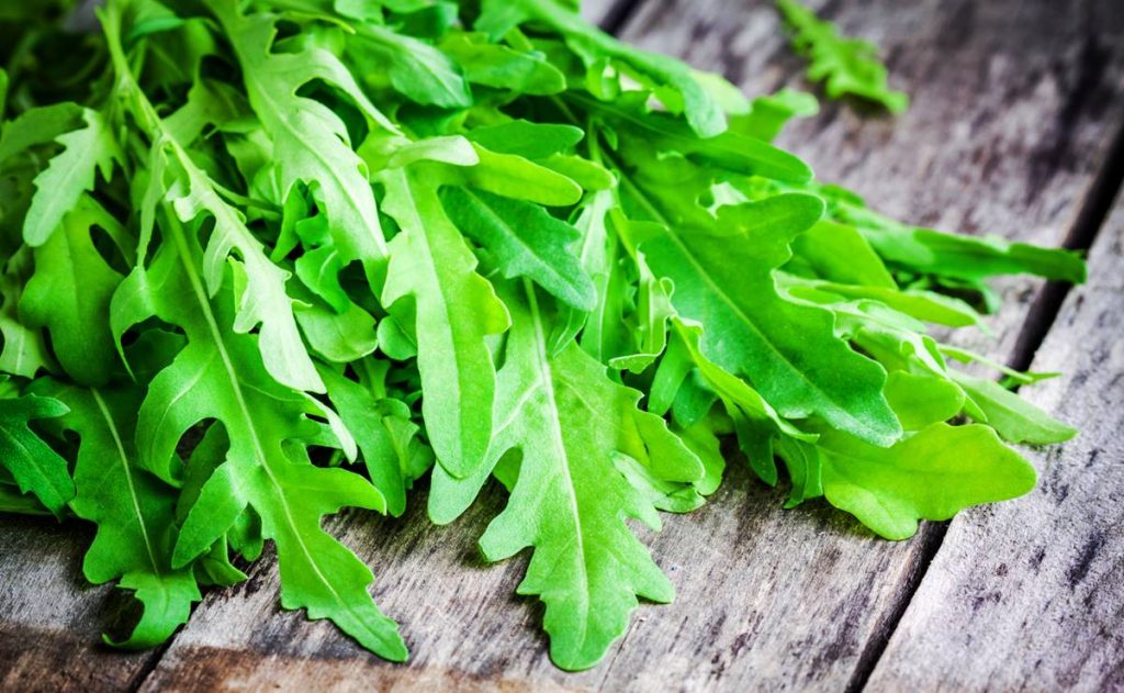 ramo de arugula